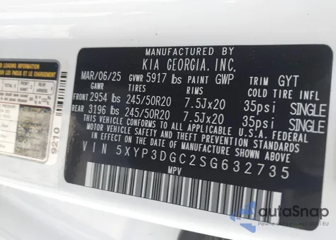 2025 Kia Telluride Ex from USA, damaged, VIN 5XYP3DGC2SG632735